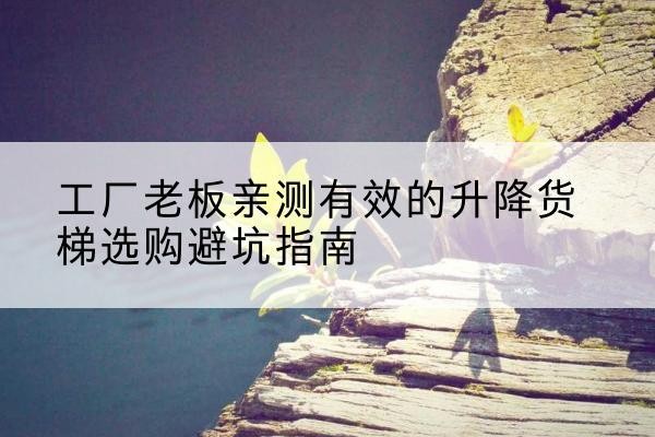 费县升降货梯怎么选-工厂老板亲测有效的升降货梯选购避坑指南