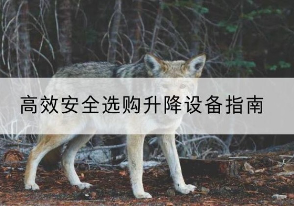 费县升降货梯厂家推荐-*安全选购升降设备指南