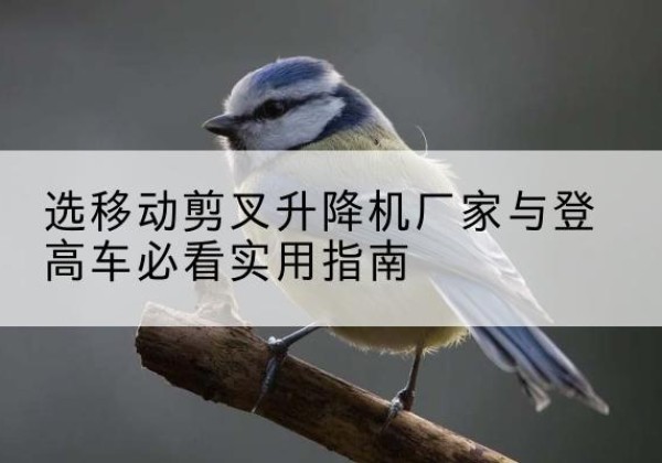 费县电动升降机厂家-选移动剪叉升降机厂家与登高车必看实用指南