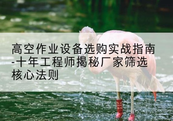 费县剪叉式升降机厂家-高空作业设备选购实战指南-十年工程师揭秘厂家筛选核心法则
