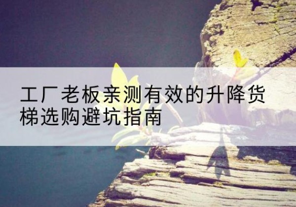 费县升降货梯怎么选-工厂老板亲测有效的升降货梯选购避坑指南